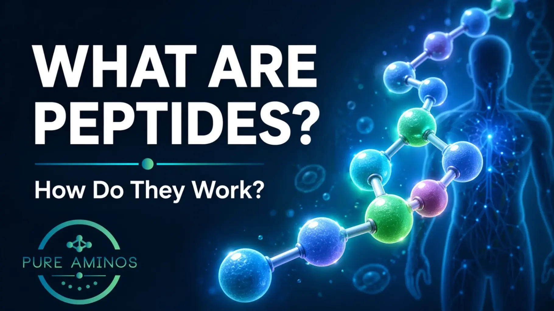 What Are Peptides and How Do They Work